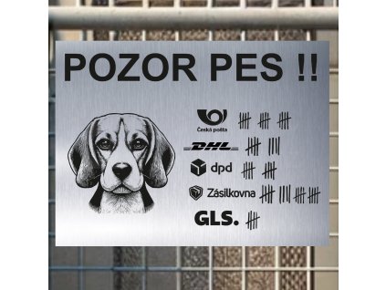 Pozor tady hlídám já - Bígl - pozor pes!!!