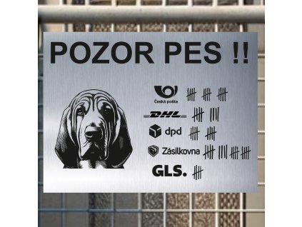 Pozor tady hlídám já - Bloodhound - pozor pes!!!