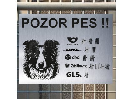 Pozor tady hlídám já - Border kolie - pozor pes!!!