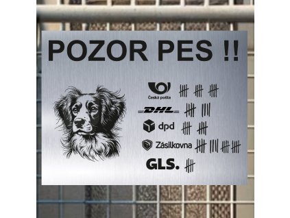 Pozor tady hlídám já - Bretaňský ohař - pozor pes!!!