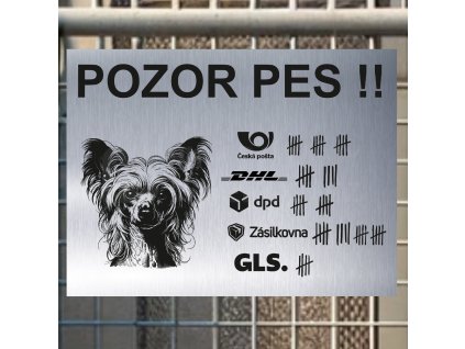 Pozor tady hlídám já - Čínský chocholatý pes - pozor pes!!!