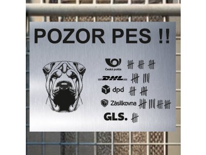 Pozor tady hlídám já - Čínský šarpej - pozor pes!!!