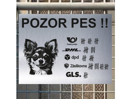 Pozor tady hlídám já - Čivava - pozor pes!!!