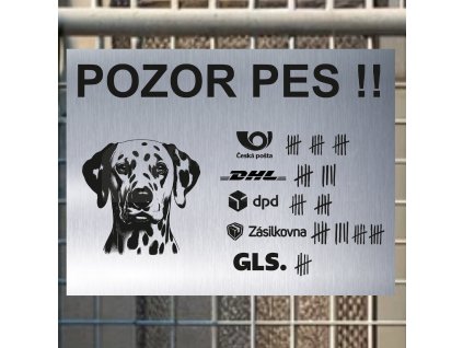 Pozor tady hlídám já - Dalmatin - pozor pes!!!