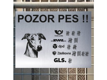 Pozor tady hlídám já - Greyhound - pozor pes!!!