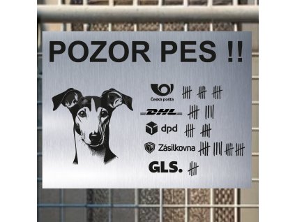 Pozor tady hlídám já - Ibizský podenco - pozor pes!!!