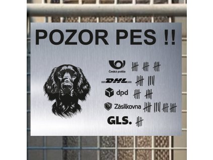 Pozor tady hlídám já - Irský setr - pozor pes!!!