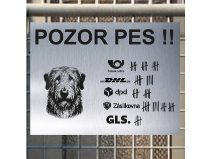 Pozor tady hlídám já - Irský vlkodav - pozor pes!!!