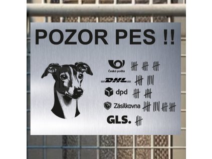 Pozor tady hlídám já - Italský chrtík - pozor pes!!!