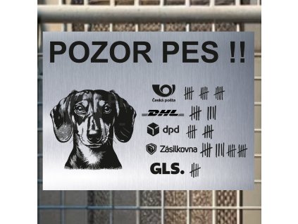 Pozor tady hlídám já - Jezevčík - pozor pes!!!