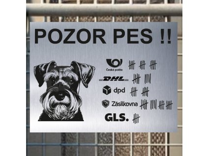 Pozor tady hlídám já - Knírač malý - pozor pes!!!