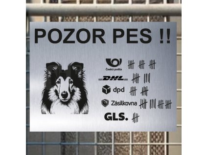 Pozor tady hlídám já - Kolie - pozor pes!!!