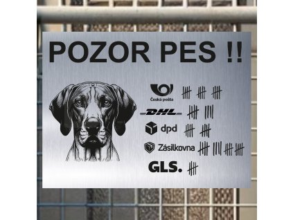 Pozor tady hlídám já - Maďarský ohař - pozor pes!!!