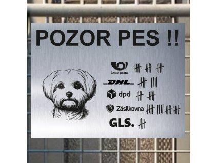 Pozor tady hlídám já - Maltský psík - pozor pes!!!