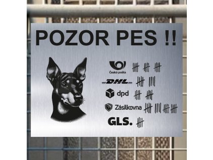 Pozor tady hlídám já - Manchesterský teriér - pozor pes!!!