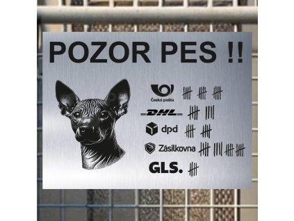 Pozor tady hlídám já - Mexický naháč - pozor pes!!!