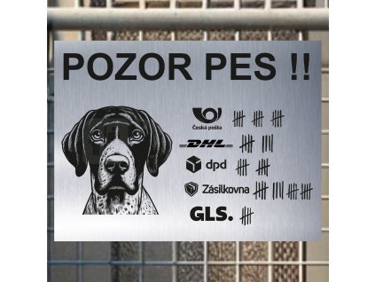 Pozor tady hlídám já - Německý krátkosrstý ohař - pozor pes!!!