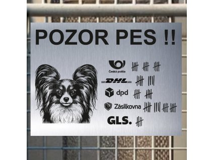 Pozor tady hlídám já - Papillon - pozor pes!!!