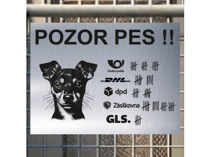 Pozor tady hlídám já - Pražský krysařík - pozor pes!!!