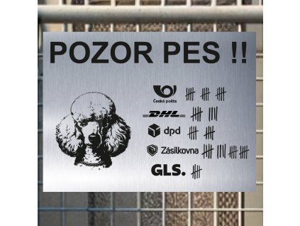 Pozor tady hlídám já - Pudl - pozor pes!!!