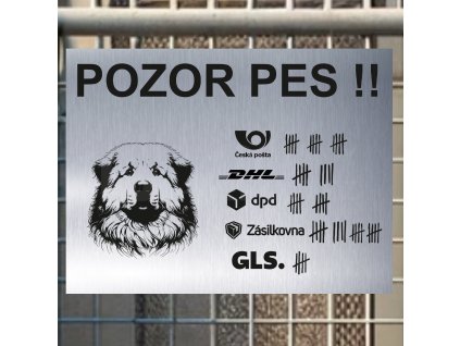 Pozor tady hlídám já - Pyrenejský horský pes - pozor pes!!!