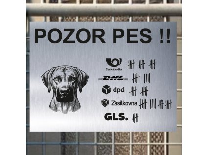 Pozor tady hlídám já - Rhodéský ridgeback - pozor pes!!!