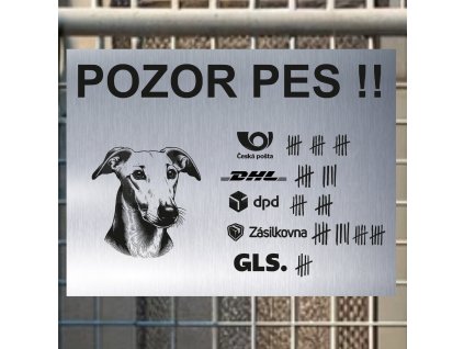 Pozor tady hlídám já - Ruský chrt - pozor pes!!!