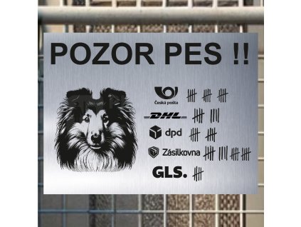 Pozor tady hlídám já - Sheltie - pozor pes!!!
