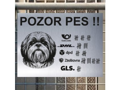 Pozor tady hlídám já - Shihtzu - pozor pes!!!