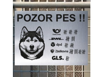 Pozor tady hlídám já - Sibiřský husky - pozor pes!!!