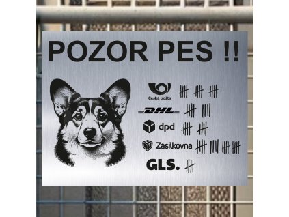 Pozor tady hlídám já - Velškorgi pembroke - pozor pes!!!