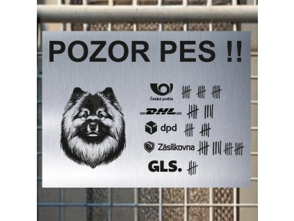 Pozor tady hlídám já - Vlčí špic - pozor pes!!!