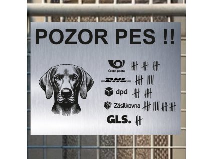 Pozor tady hlídám já - Výmarský ohař - pozor pes!!!