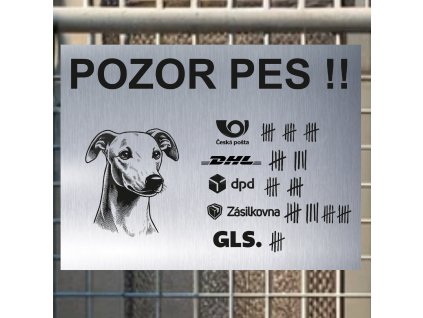 Pozor tady hlídám já - Whippet - pozor pes!!!