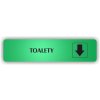 Piktogram - TOALETY ŠIPKA DOLŮ