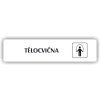 Cedule tělocvična – plast (piktogram)
