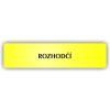 Piktogram - ROZHODČÍ