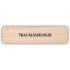Cedule traumatologie – plast (piktogram)