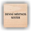 Piktogram - DENNÍ MÍSTNOST SESTER