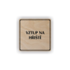 Cedule vstup na hřiště | Piktogram (čtverec)