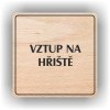Piktogram - VSTUP NA HŘIŠTĚ