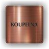 Cedule koupelna – plast (piktogram)