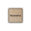 Cedule tělocvična | Piktogram (čtverec)