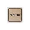 Cedule popelnice | Piktogram (čtverec)