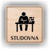 Piktogram - STUDOVNA