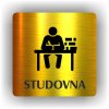 Piktogram - STUDOVNA