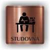 Piktogram - STUDOVNA