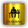 Piktogram - STUDOVNA
