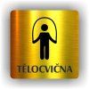 Cedule tělocvična – plast (piktogram)
