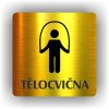 Piktogram - TĚLOCVIČNA